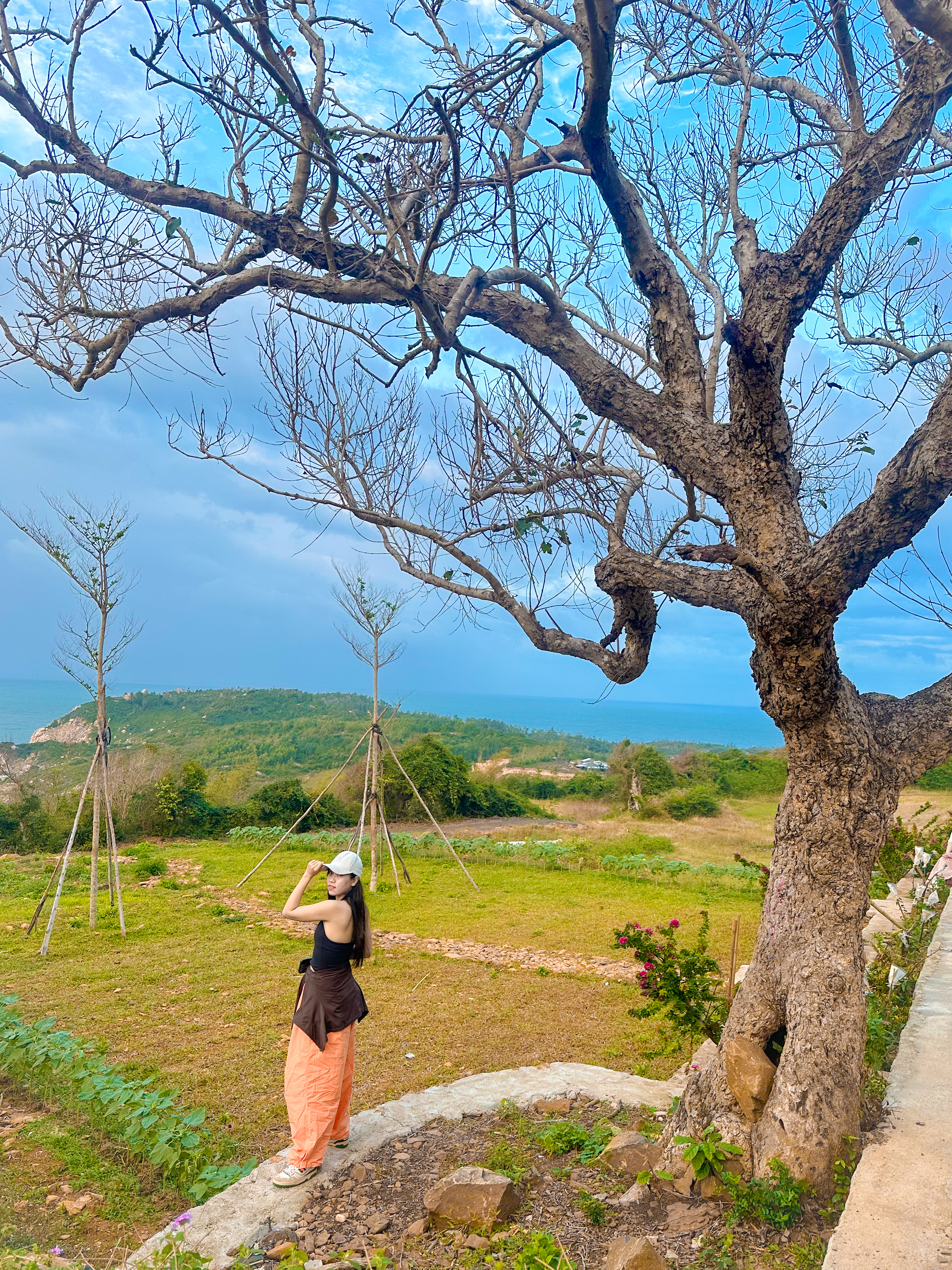 Thị Thanh Huyền Nguyễn